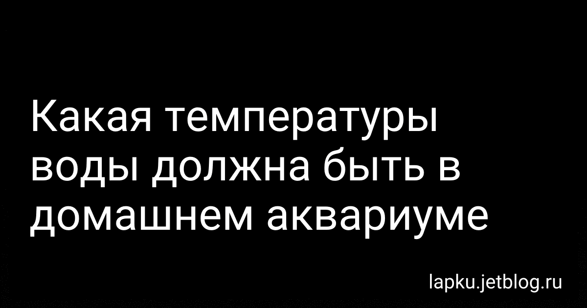 Какая температуры воды должна быть в домашнем аквариуме image