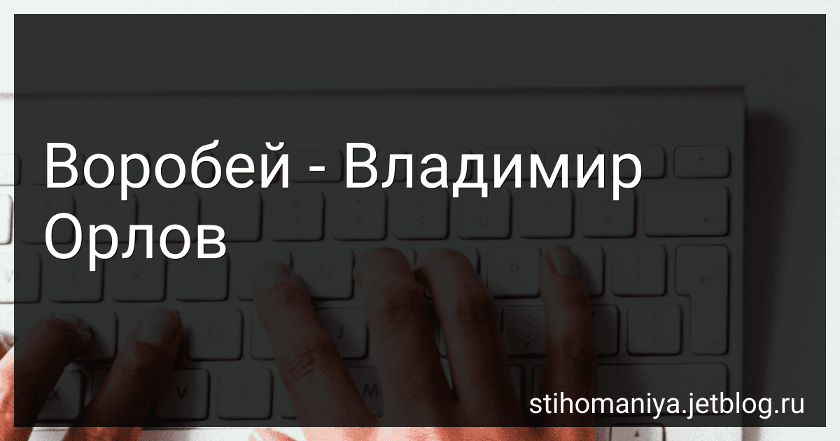 Воробей - Владимир Орлов preview