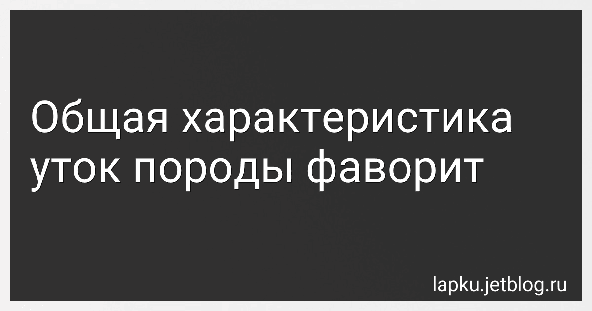 Общая характеристика уток породы фаворит image