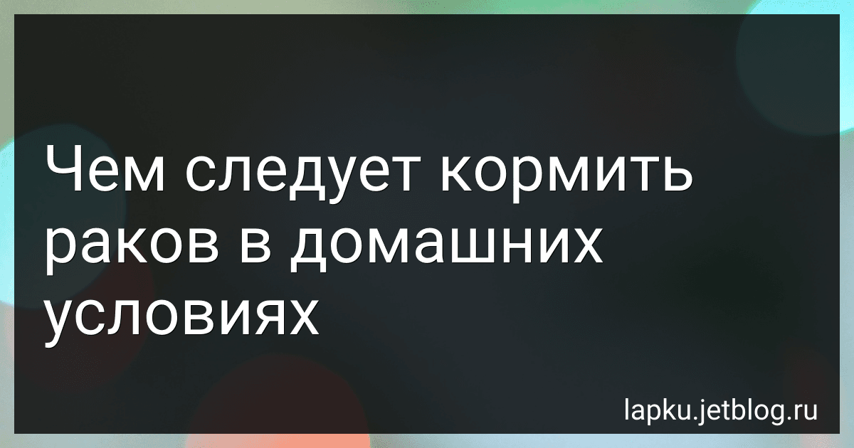 Чем следует кормить раков в домашних условиях image