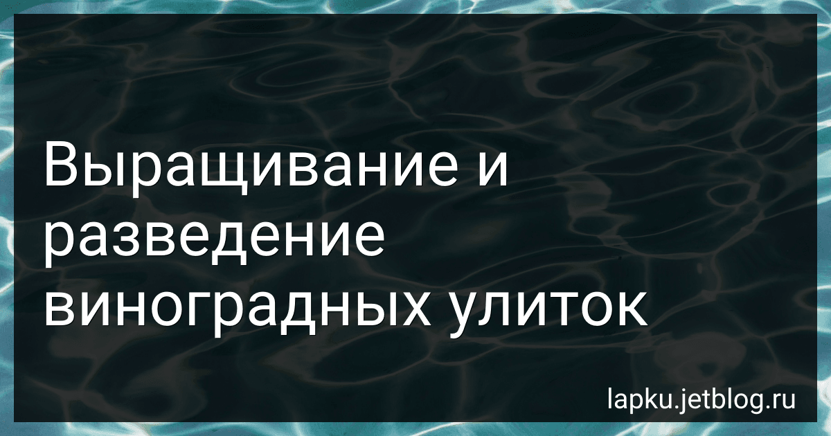 Выращивание и разведение виноградных улиток image