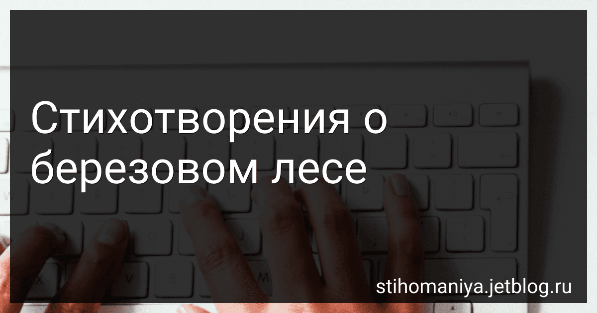 Стихотворения о березовом лесе preview