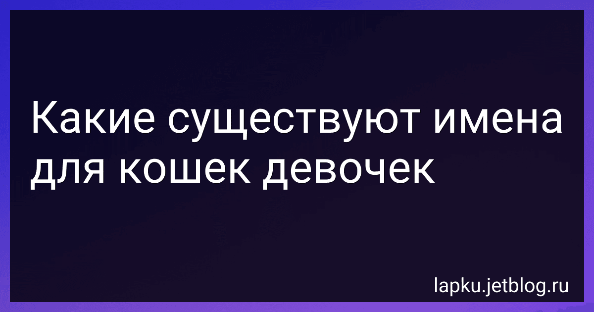 Какие существуют имена для кошек девочек image