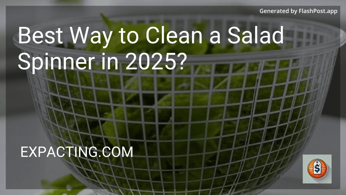 Best Way to Clean a Salad Spinner in 2025? preview
