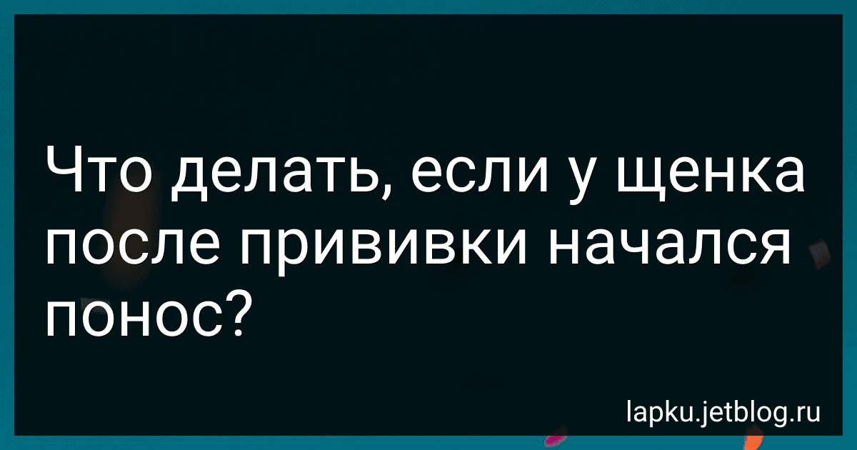 Что делать, если у щенка после прививки начался понос? preview