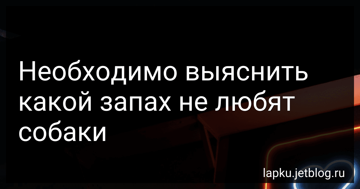 Необходимо выяснить какой запах не любят собаки preview