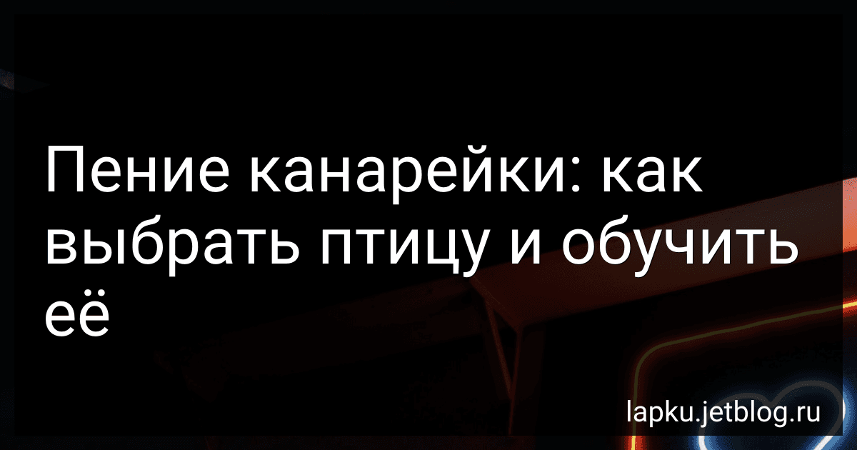 Пение канарейки: как выбрать птицу и обучить её image
