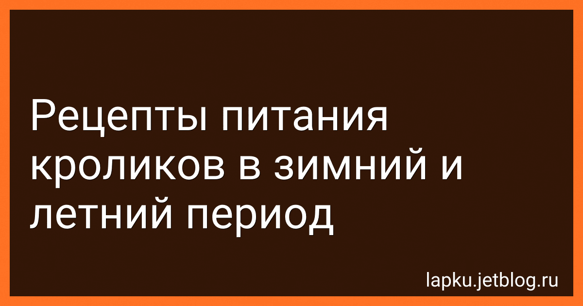 Рецепты питания кроликов в зимний и летний период image