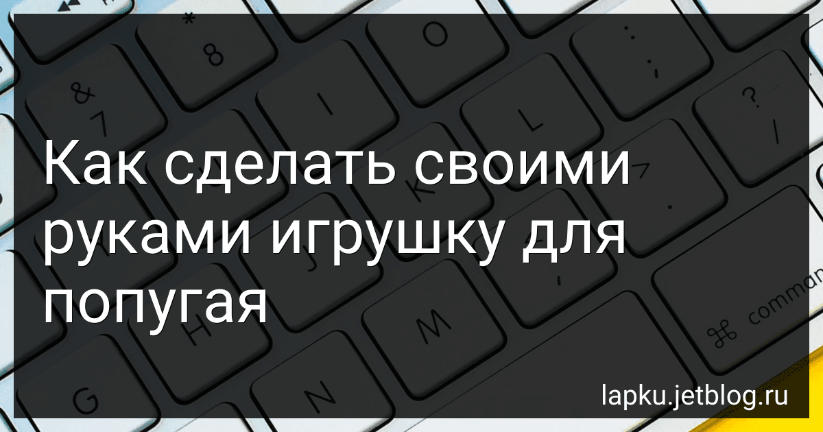Как сделать своими руками игрушку для попугая image
