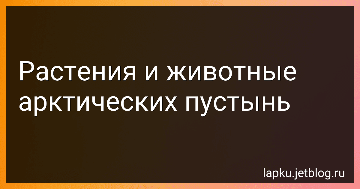Растения и животные арктических пустынь image