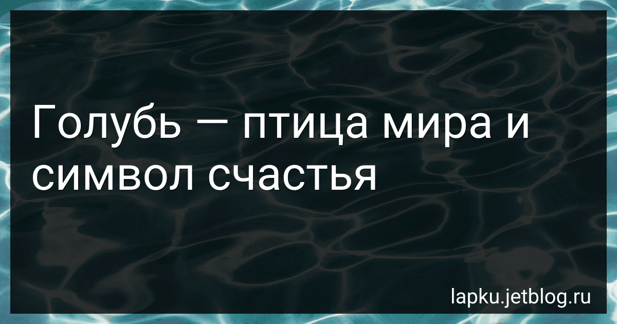 Голубь - птица мира и символ счастья preview