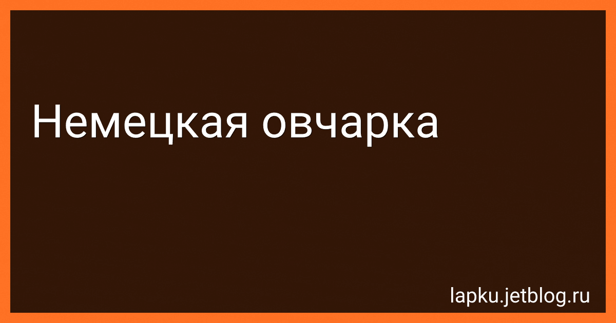 Немецкая овчарка image