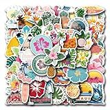50 Packs Brochette Food Stickers Water Bottles Laptop Phone Computer Guitar Skateboard Hydroflasks Food Vinyl Sticker Waterproof Aesthetic Trendy Decals for Kids Teens Girls Adults (Colourful-2)