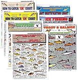 Freshwater Fish Identification Chart Set - Waterproof Quick Reference Fishing Guide - 80+ Fish Species ID - (US, Canada, and Alaska) - Double-Sided & Easy to Read - Great Gift for Beginners