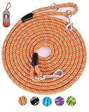 Long Dog Leash for Training 10FT/16FT/20FT/30FT/50FT/100FT, Reflective Tie Out, Heavy Duty Dog Lead for Large, Medium & Small Dogs - Outside Walking, Playing, Camping, Yard