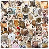 100PCS Cute Cat Stickers, Funny Kitty Stickers Waterproof Vinyl Cat Stickers for Water Bottles, Laptop, Hydro Flask, Journals, Phone Cases, Cat Meme Stickers for Kids, Teens & Cat Lovers