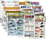 Saltwater Fish Identification Chart Set - Waterproof Quick Reference Fishing Guides - 100+ Species ID - (Atlantic and Pacific) - Double-Sided & Easy to Read - Great Gift for Beginners