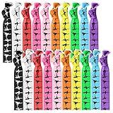 BBTO 20 Pieces Dance Hair Ties Bulk Girls Gift Ballerina Dance Ribbon Ponytail Holders Hair Bands Accessories(Classic Colors)