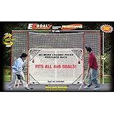 EZGoal Hockey Backstop Kit with Targets, Red/White, 10' x 6'