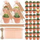 MTLEE 48 Pcs Succulent Cactus Tealight Candles