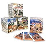 A Cup of Colorado Tea Collection (4 flavors, 10 tea bags per flavor)