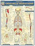 Muscular Origins & Insertions: QuickStudy Laminated Reference Guide (Quick Study Academic)