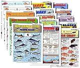 Saltwater Fish Identification Chart Set - Waterproof Quick Reference Guide