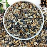 YISZM 2lbs Natural River Rocks, 1/4" Aquarium Gravel Succulent Cactus Pea Gravel for Plants, Fish Tank, Decorative Pebbles for Gardening, Flower Pots, Vase Fillers, Indoor Water Fountains, Landscaping