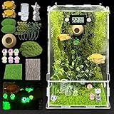 Jumping Spider Enclosure,DIY Insects Habitat,Small Reptile Terrarium Glass House Accessories Set,with Temperature and Humidity Detector Water Feeder Platform Hide,5.5“x5.5”x9.5“ (Forest)