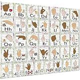 YIYDONG 36 Pieces ASL Alphabet Line Bulletin Board Set ABC Number Sign Language Flash Cards Wall Decorations for Pre-School Kindergarten Elementary Classroom Nursery Homeschool (Farmhouse)