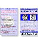 Just 4 Paws Service Dog ID Information Card | Includes Registration to U S Service Dogs Registry