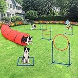 DWVO Dog Agility Accessories Kit: Comprises of a Teaser Pole, 2 Hurdles, 3 Flying Discs, 6 Weaving Poles, Agility Tunnel, Pause Box, Full Set of Agility Equipment for Backyard Indoors Outdoors