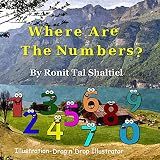 Where are the numbers ?: The adventure of the numbers (The Adventures of the Numbers Box set)