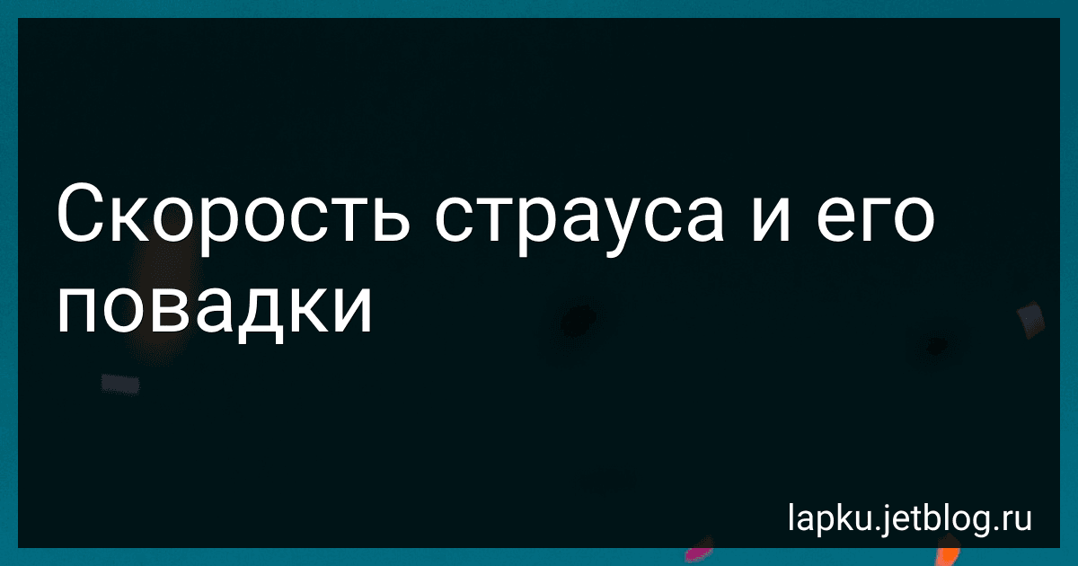 Скорость страуса и его повадки image