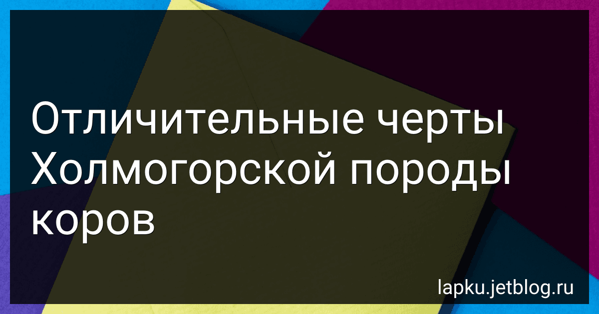 Отличительные черты Холмогорской породы коров image