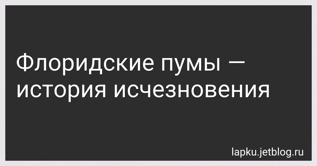 Флоридские пумы - история исчезновения image
