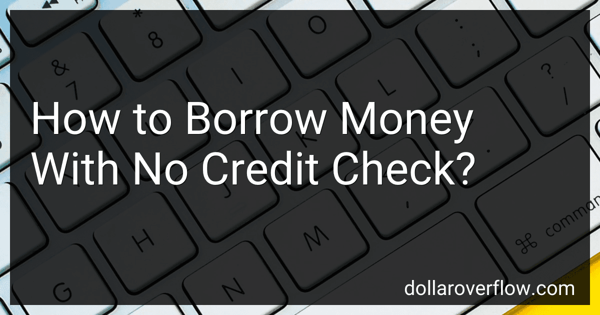 How to Borrow Money With No Credit Check? image