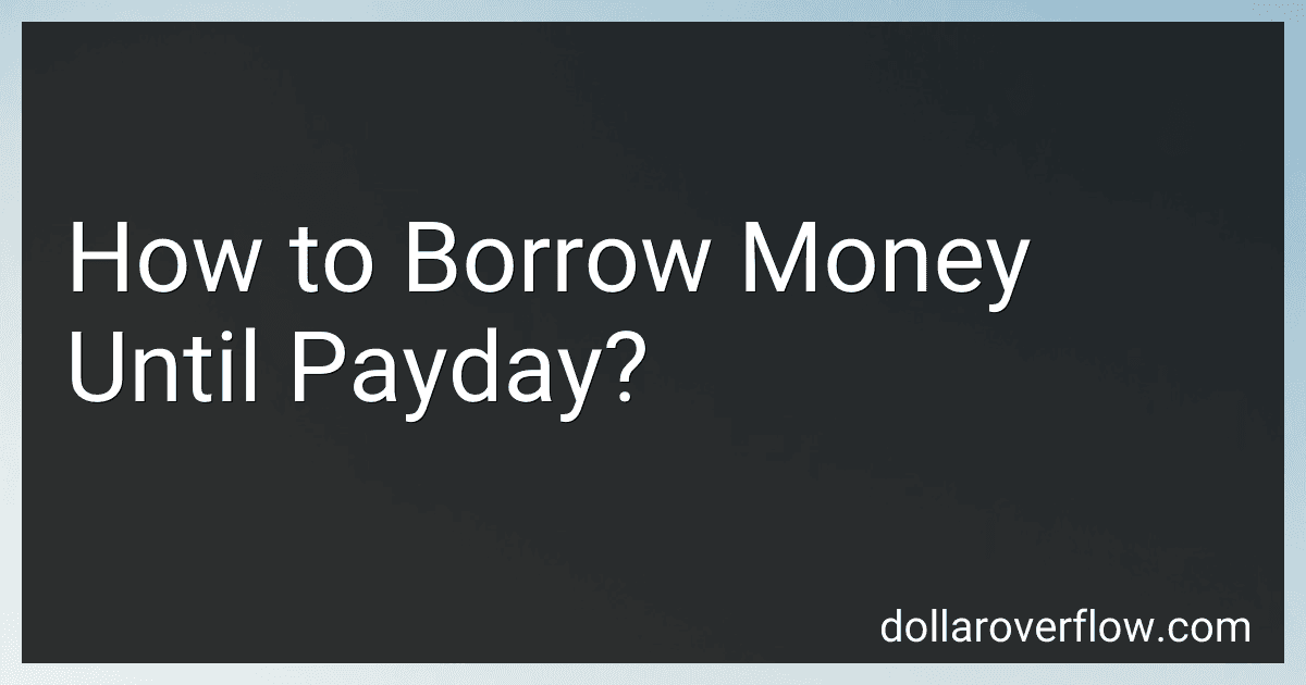 How to Borrow Money Until Payday? image