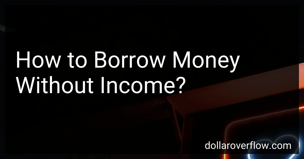 How to Borrow Money Without Income? image
