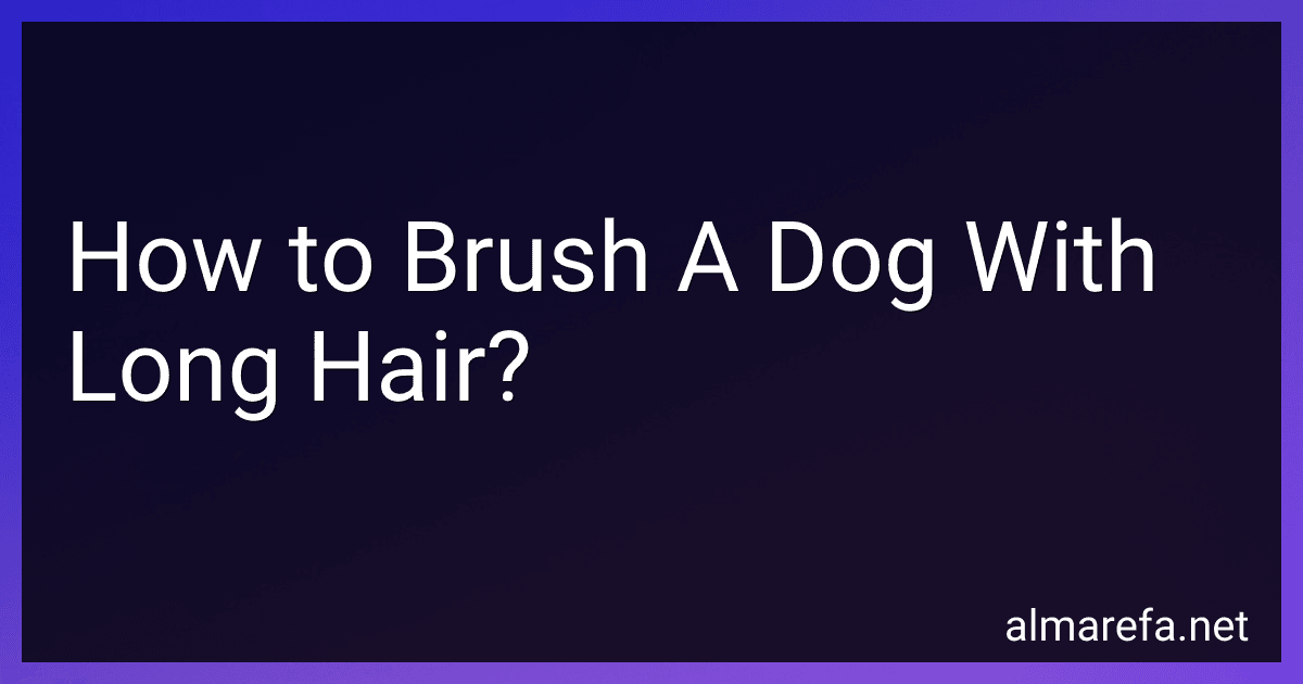 How to Brush A Dog With Long Hair? image