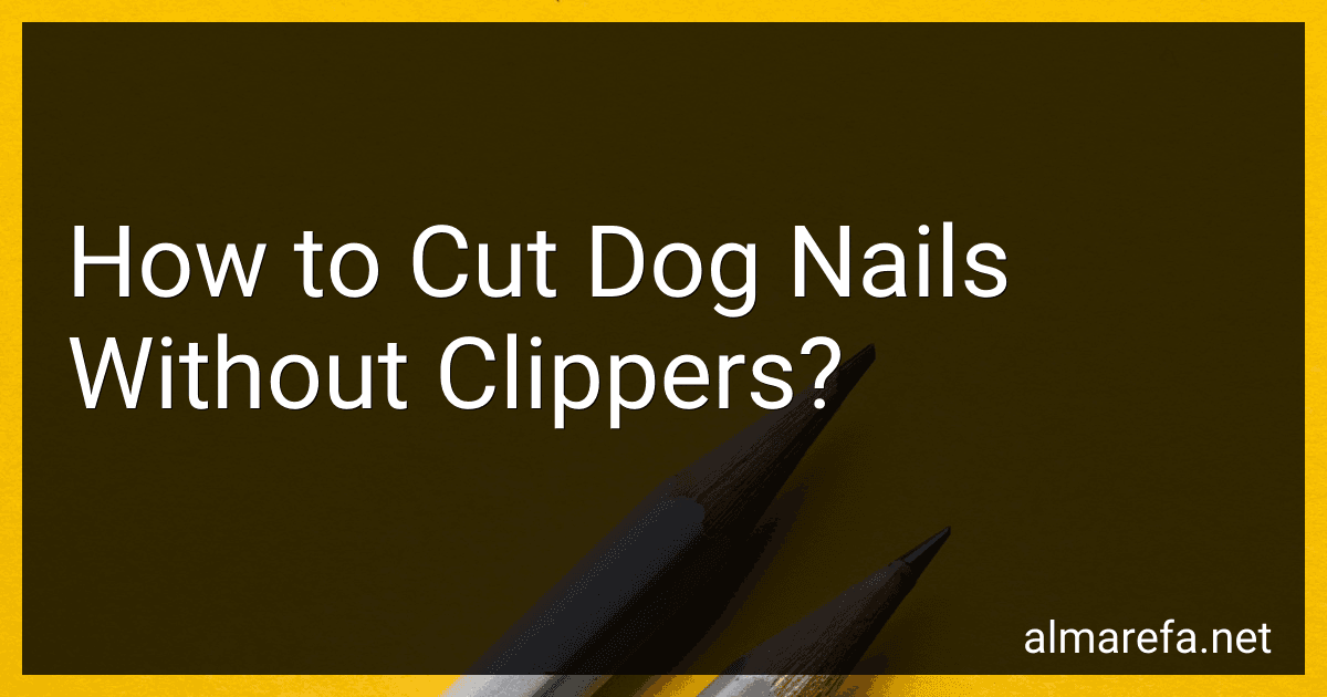 How to Cut Dog Nails Without Clippers? image