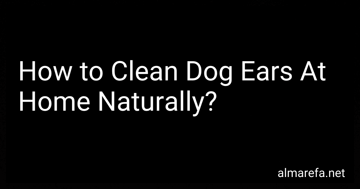 How to Clean Dog Ears At Home Naturally? image