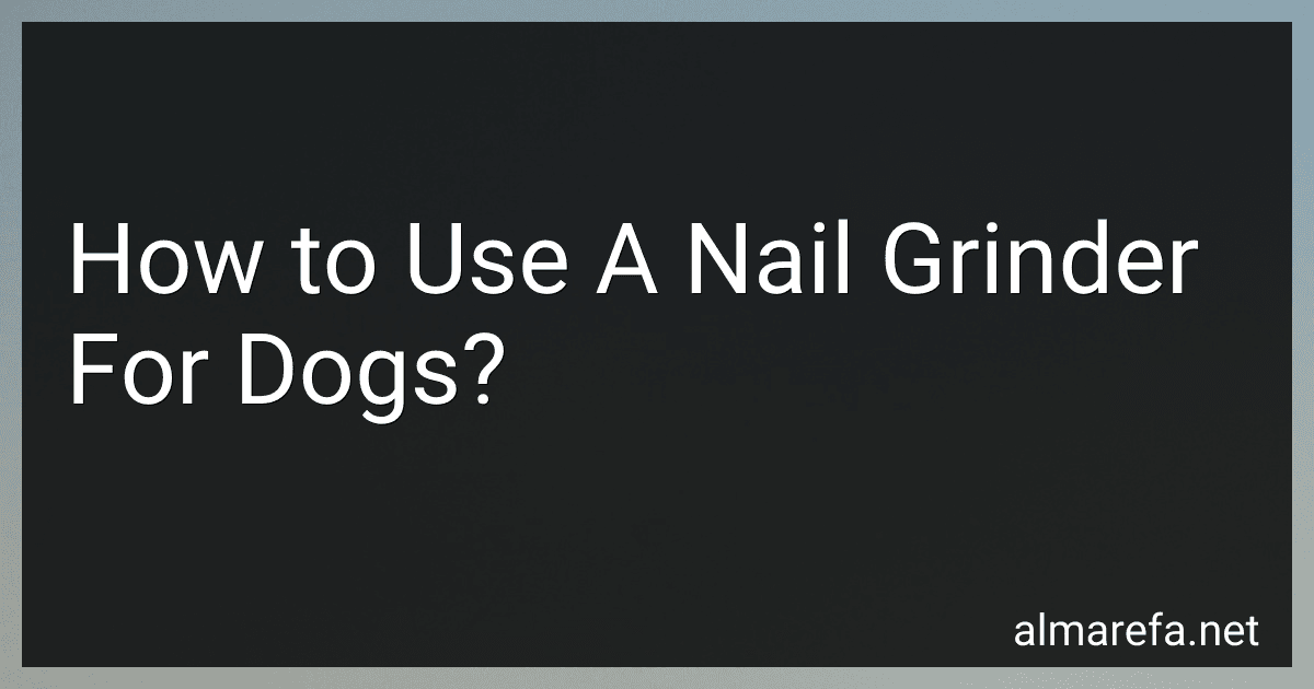 How to Use A Nail Grinder For Dogs? image