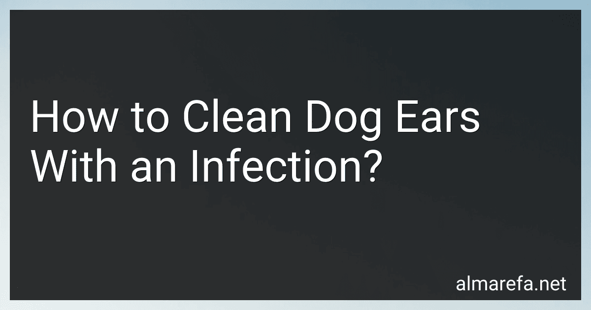 How to Clean Dog Ears With an Infection? image