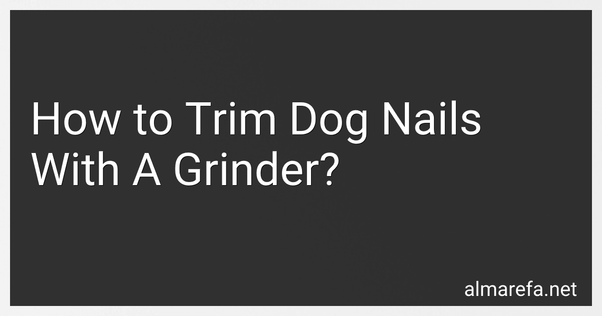 How to Trim Dog Nails With A Grinder? image