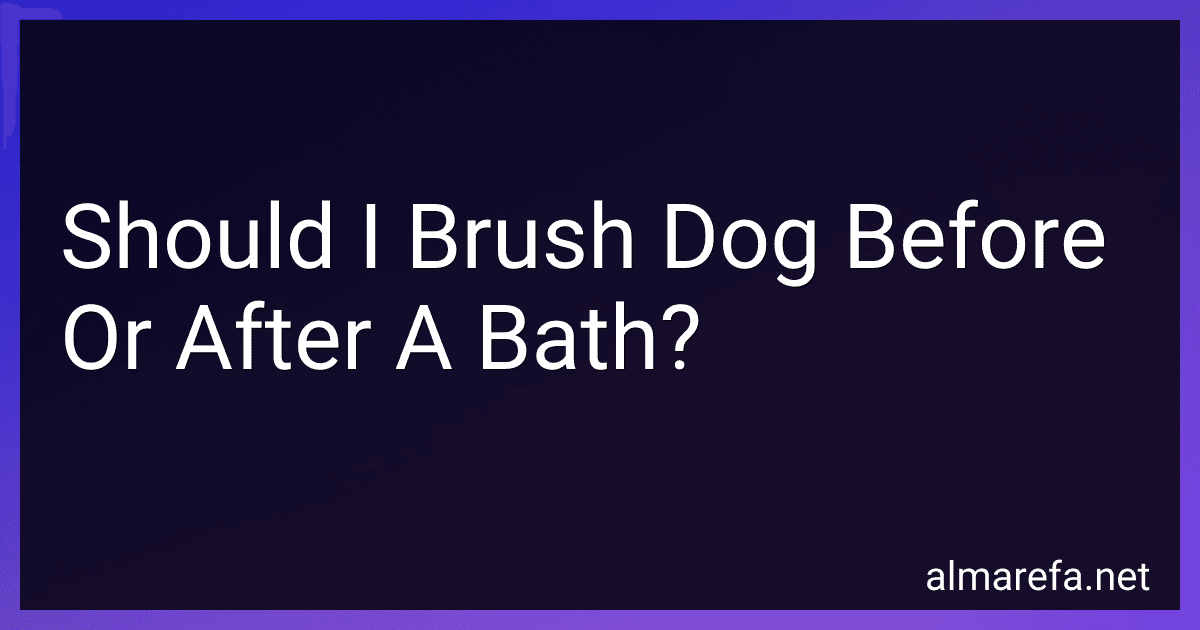 Should I Brush Dog Before Or After A Bath? image