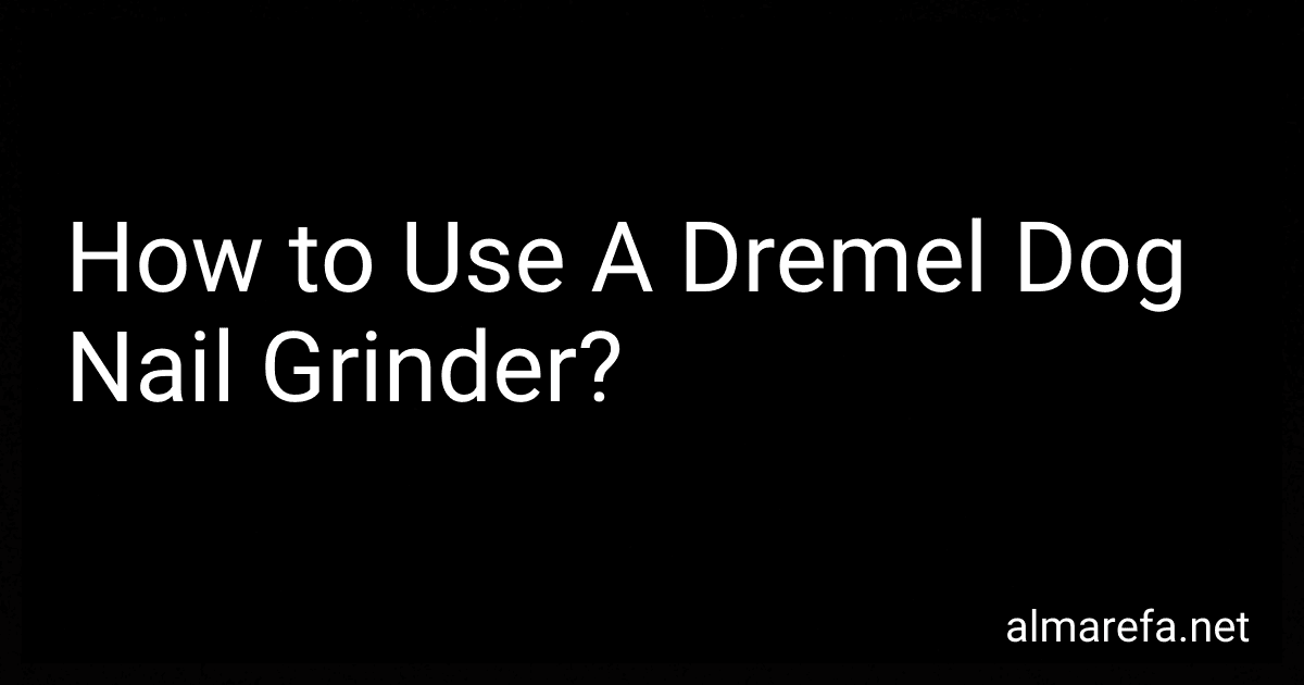 How to Use A Dremel Dog Nail Grinder? image