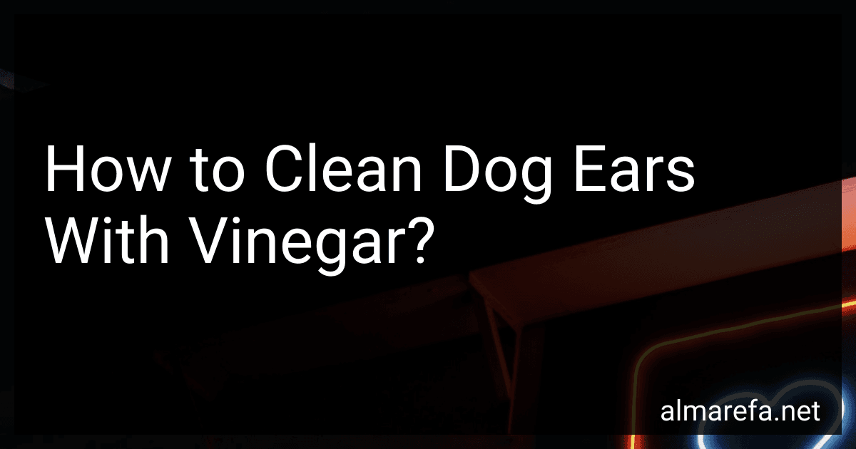 How to Clean Dog Ears With Vinegar? image