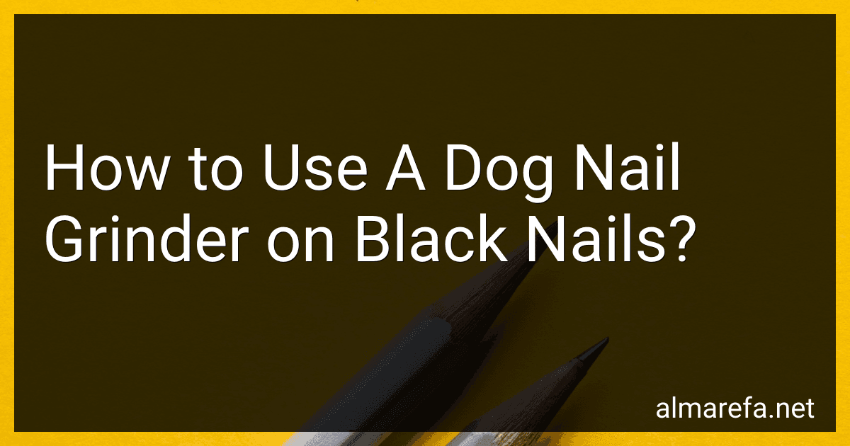 How to Use A Dog Nail Grinder on Black Nails? image