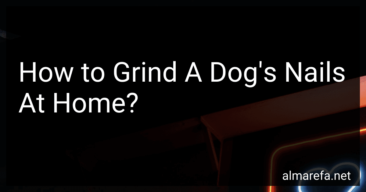 How to Grind A Dog's Nails At Home? image